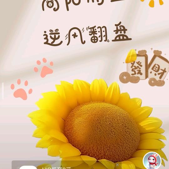 糖果🍒