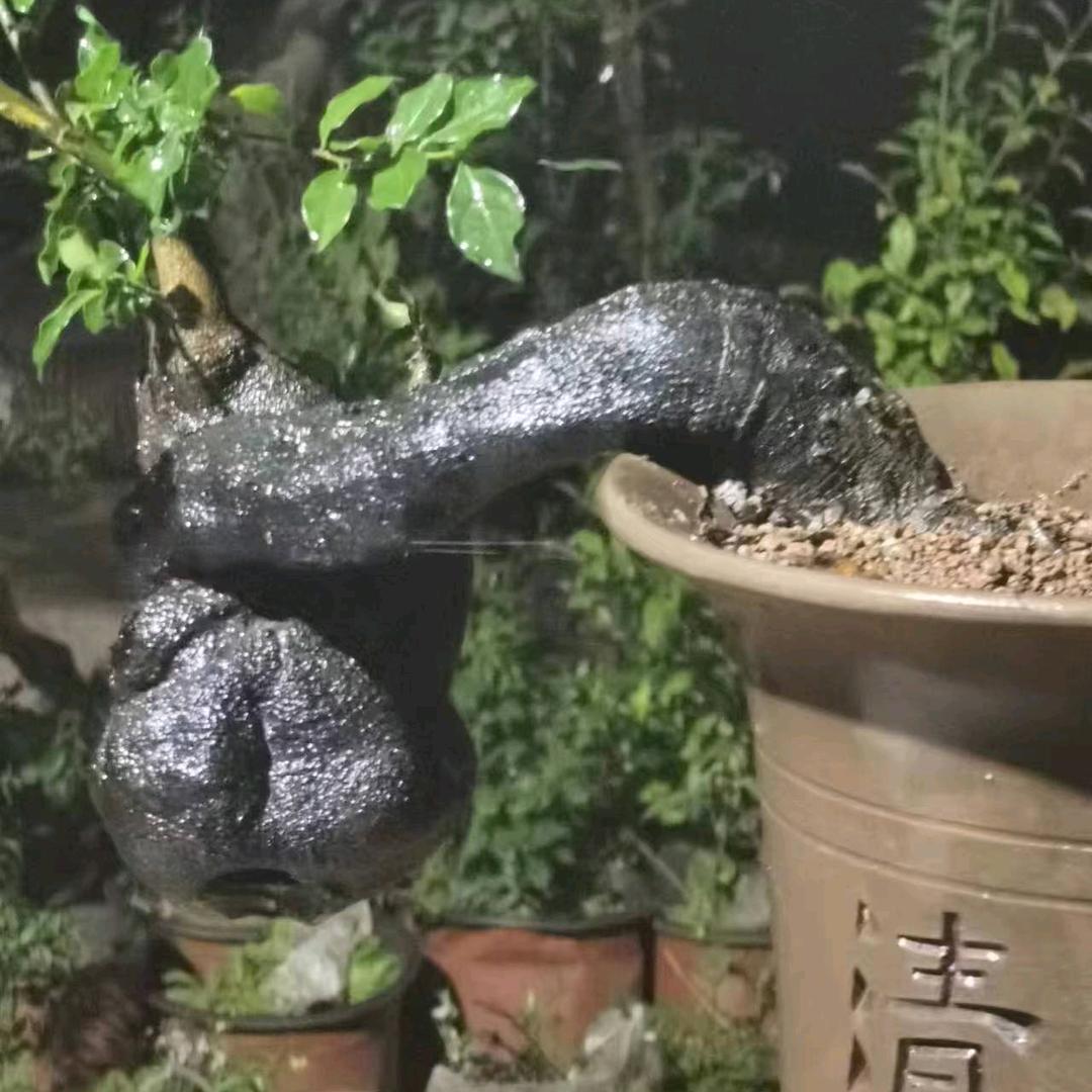 挖桩人小兵小号