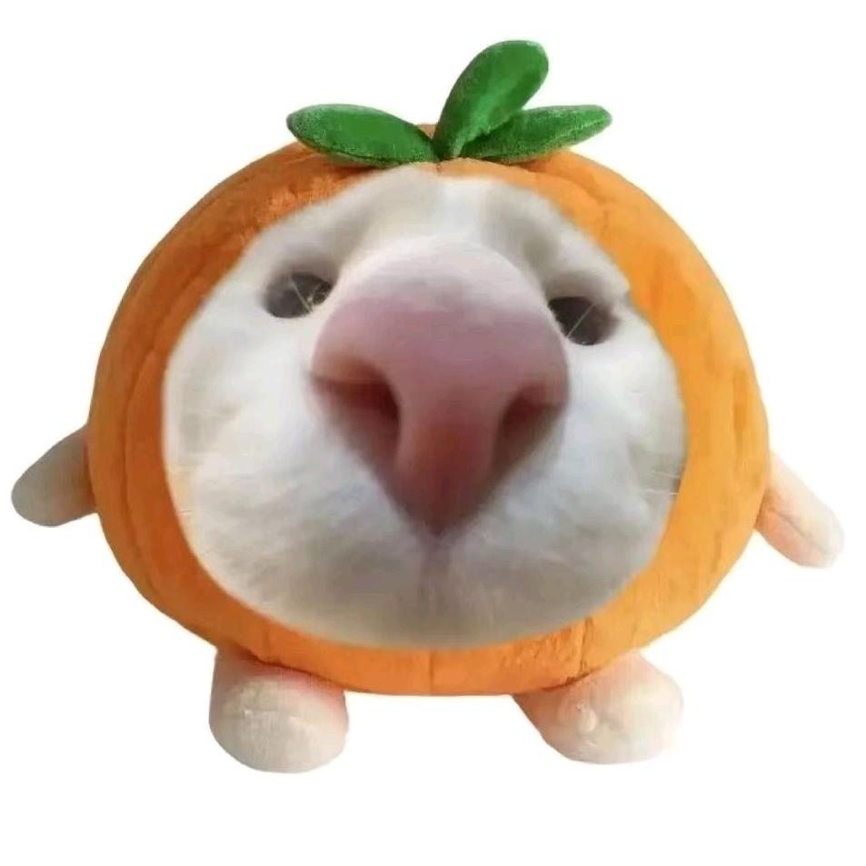 香菜🙈