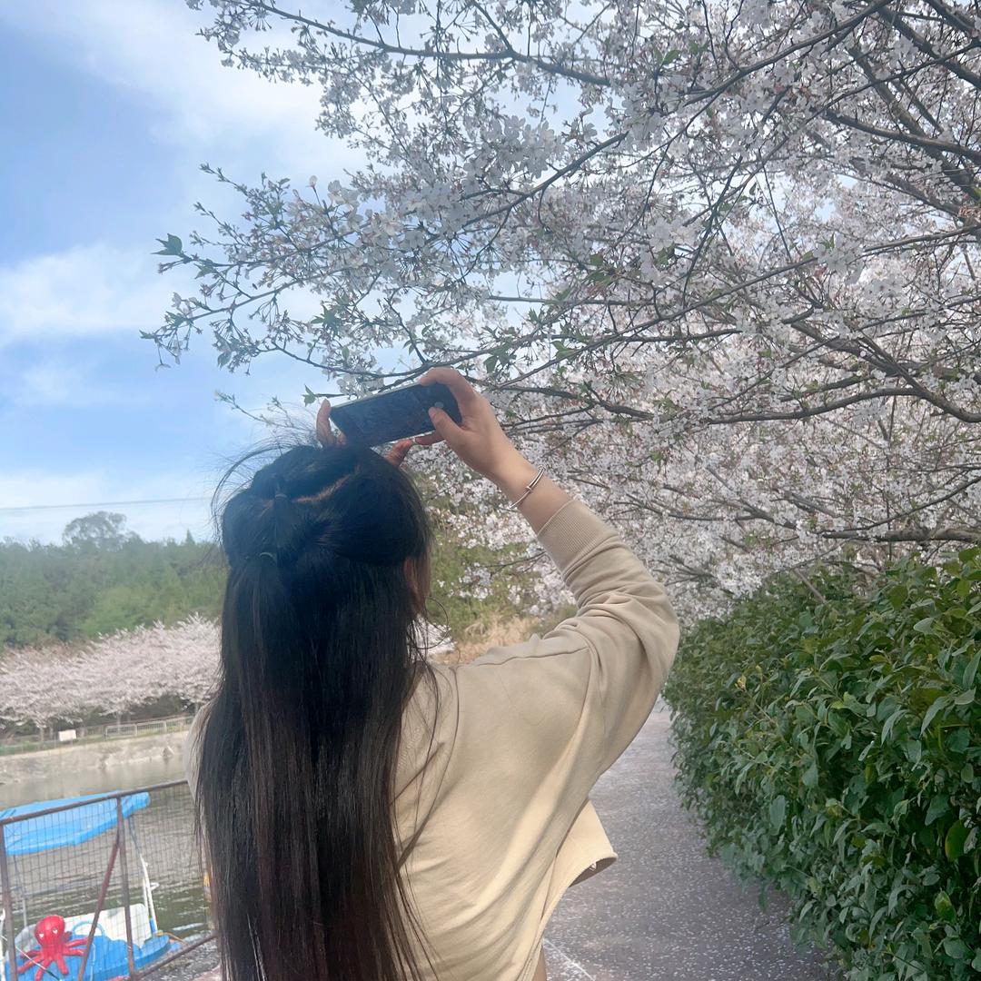 @肆芯