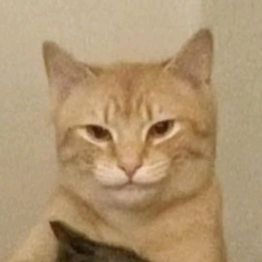 -媛九命-🐱