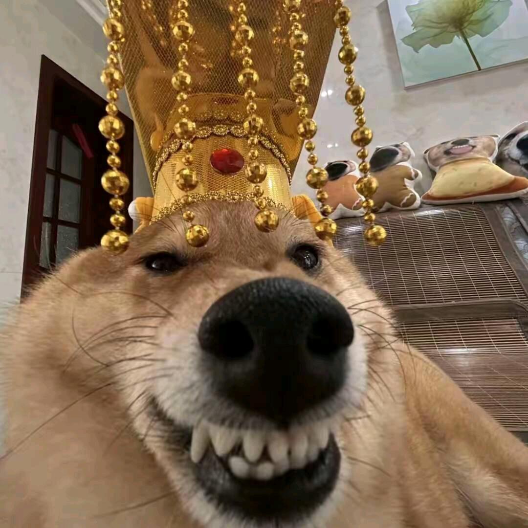 王名人