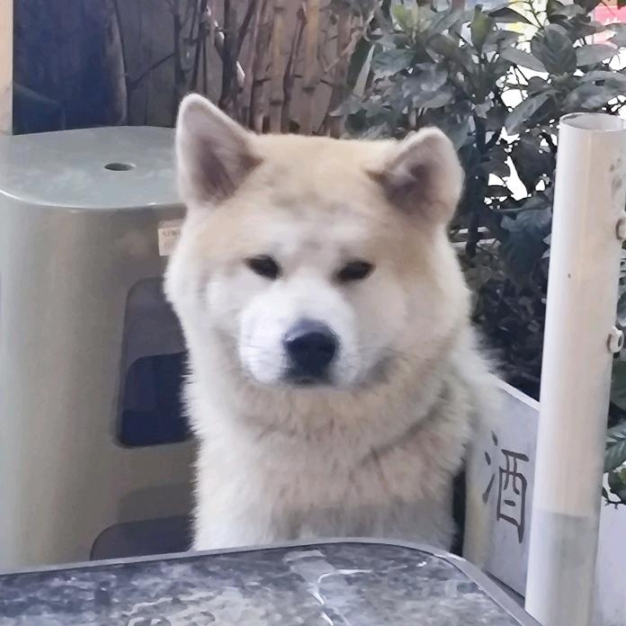 if以方