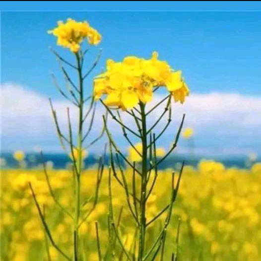 万家灯火🚩🚩