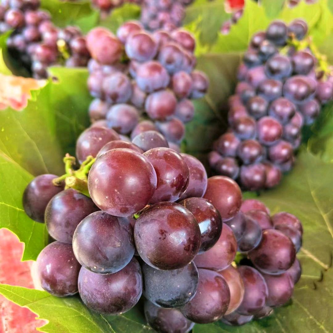 拉黑我的人开心不