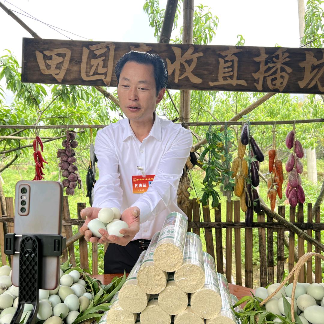 渝鸿发电商中心