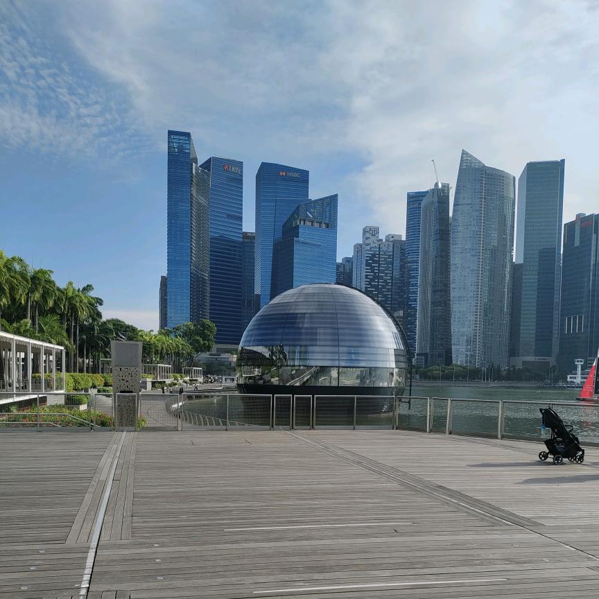 晴空万里《庄哥》