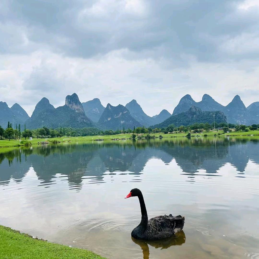 桂林家电顾问