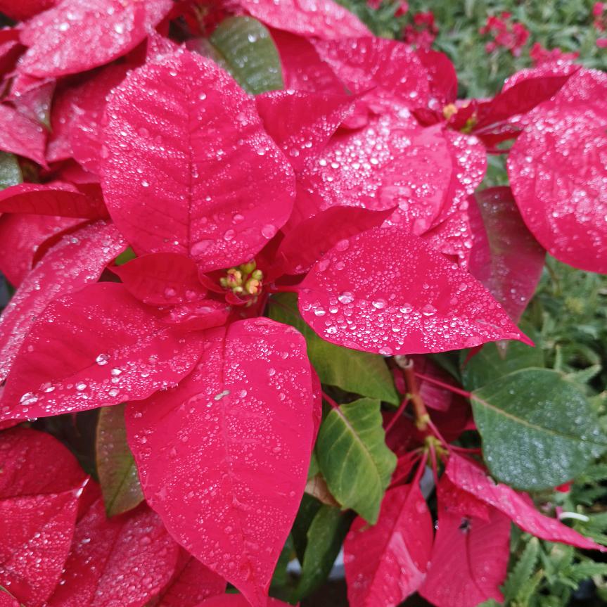 快乐❤️一家人