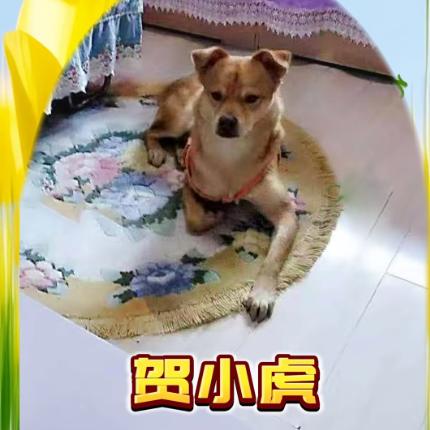 汇通天下888