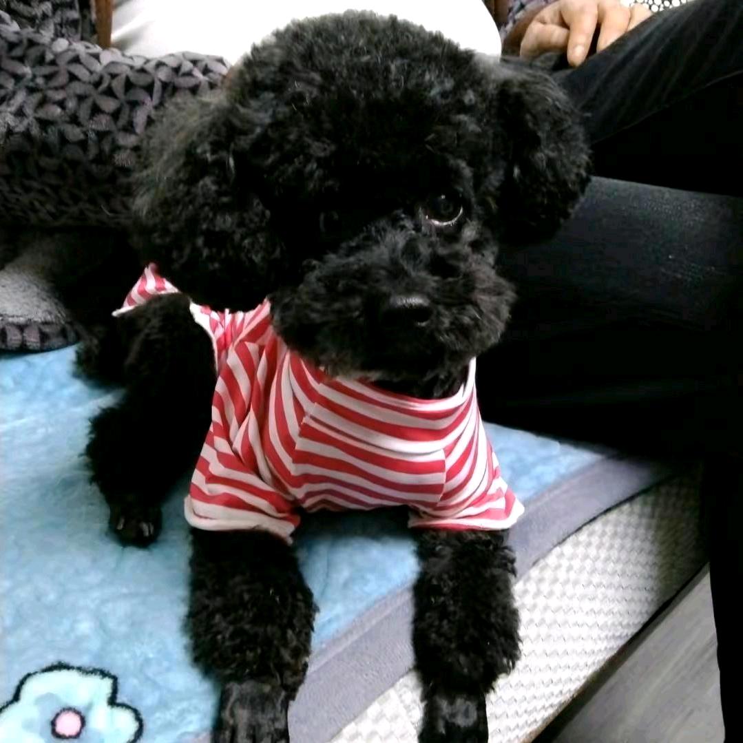 性格灬决定灬一切