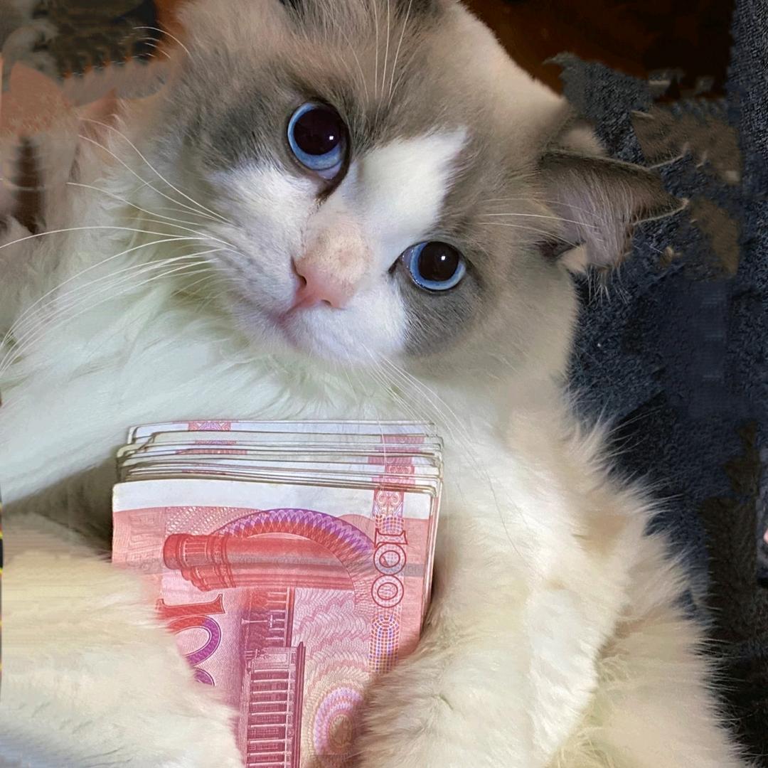 红茶（冷）☀️