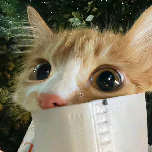 椒椒鸭
