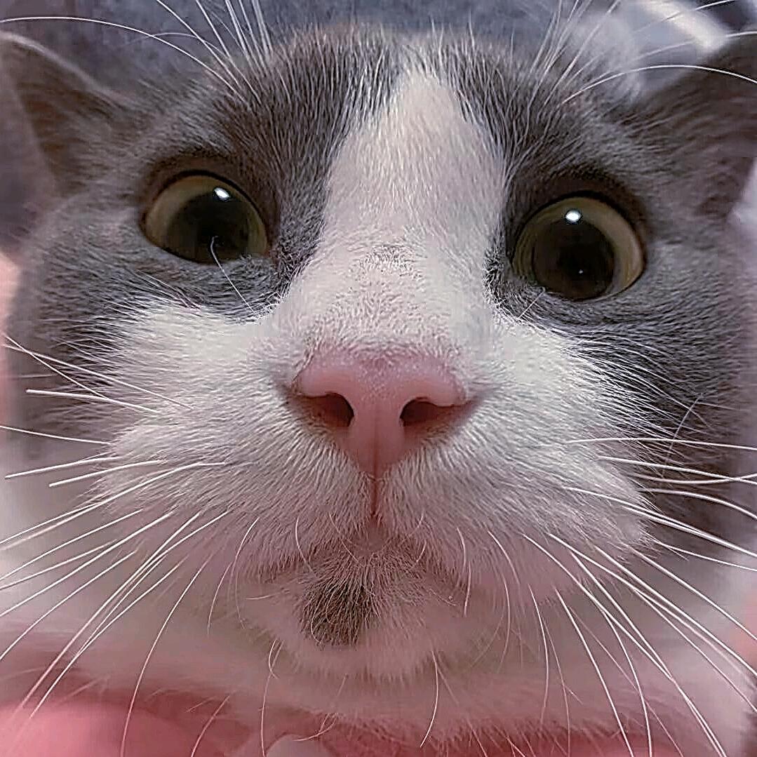 @咪咪酱M✎ ̼ engꨄ