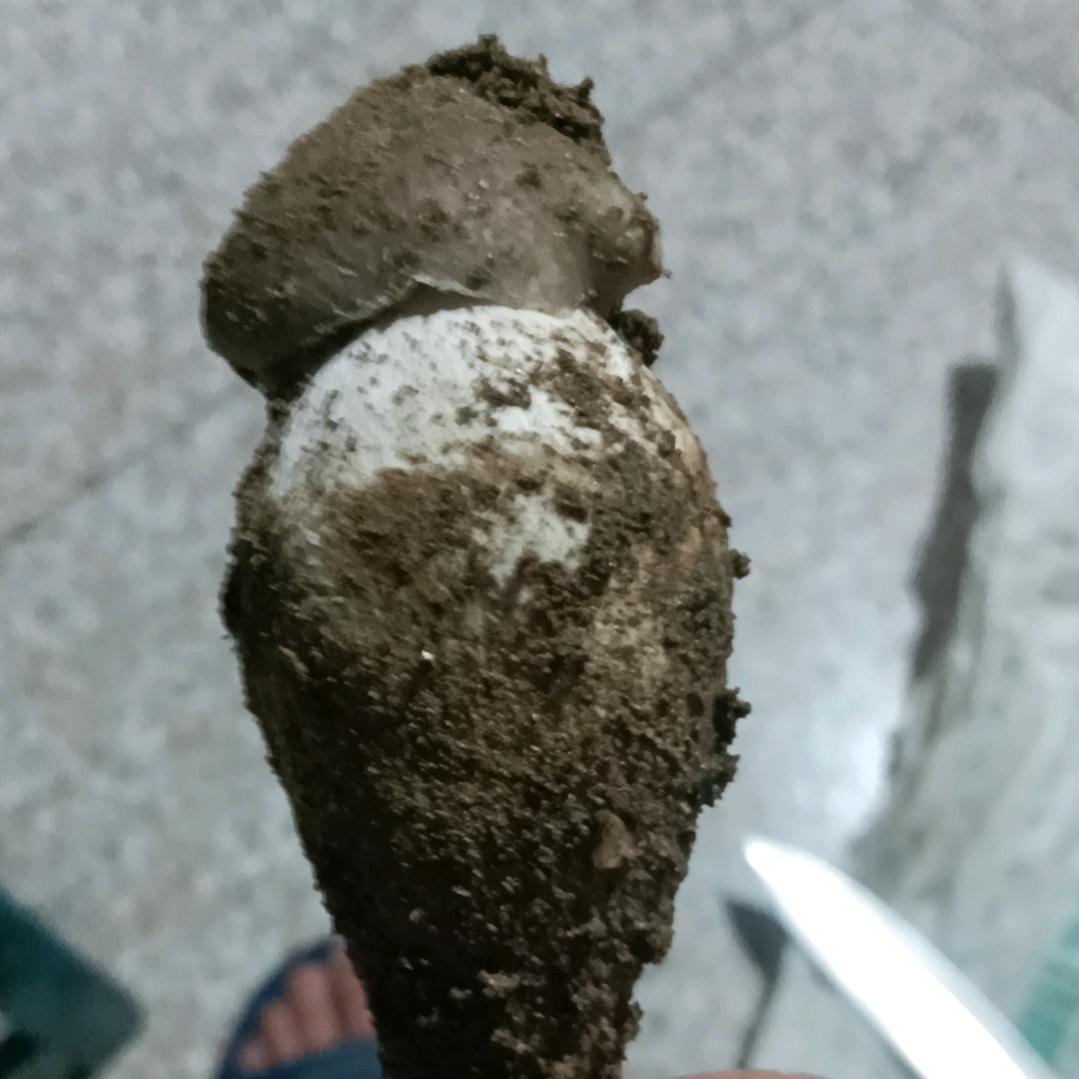 柳州市双杰文化娱乐有限公司企业店