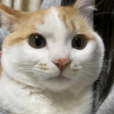 卡卡啦啦可爱呀i