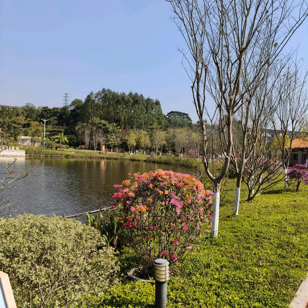 坐%…@看-云&起#★时