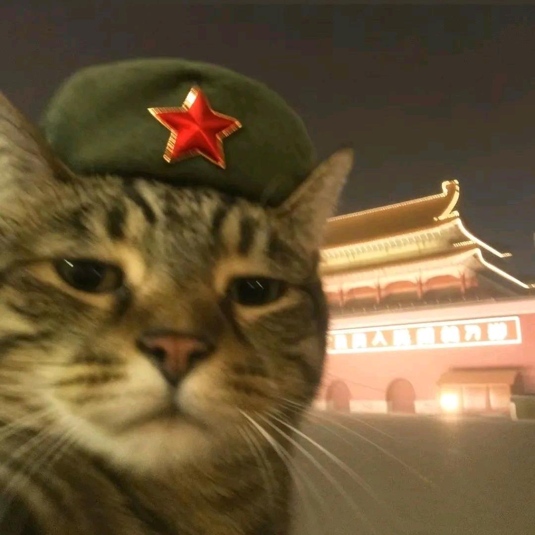 桉^