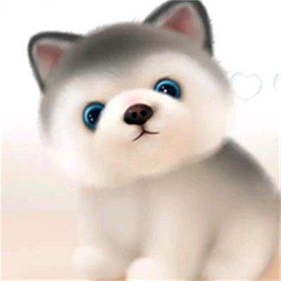 6号技施