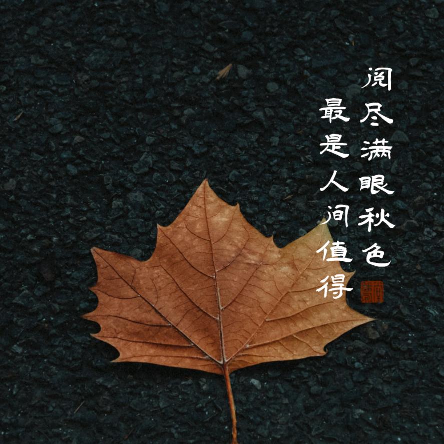 暮寻风