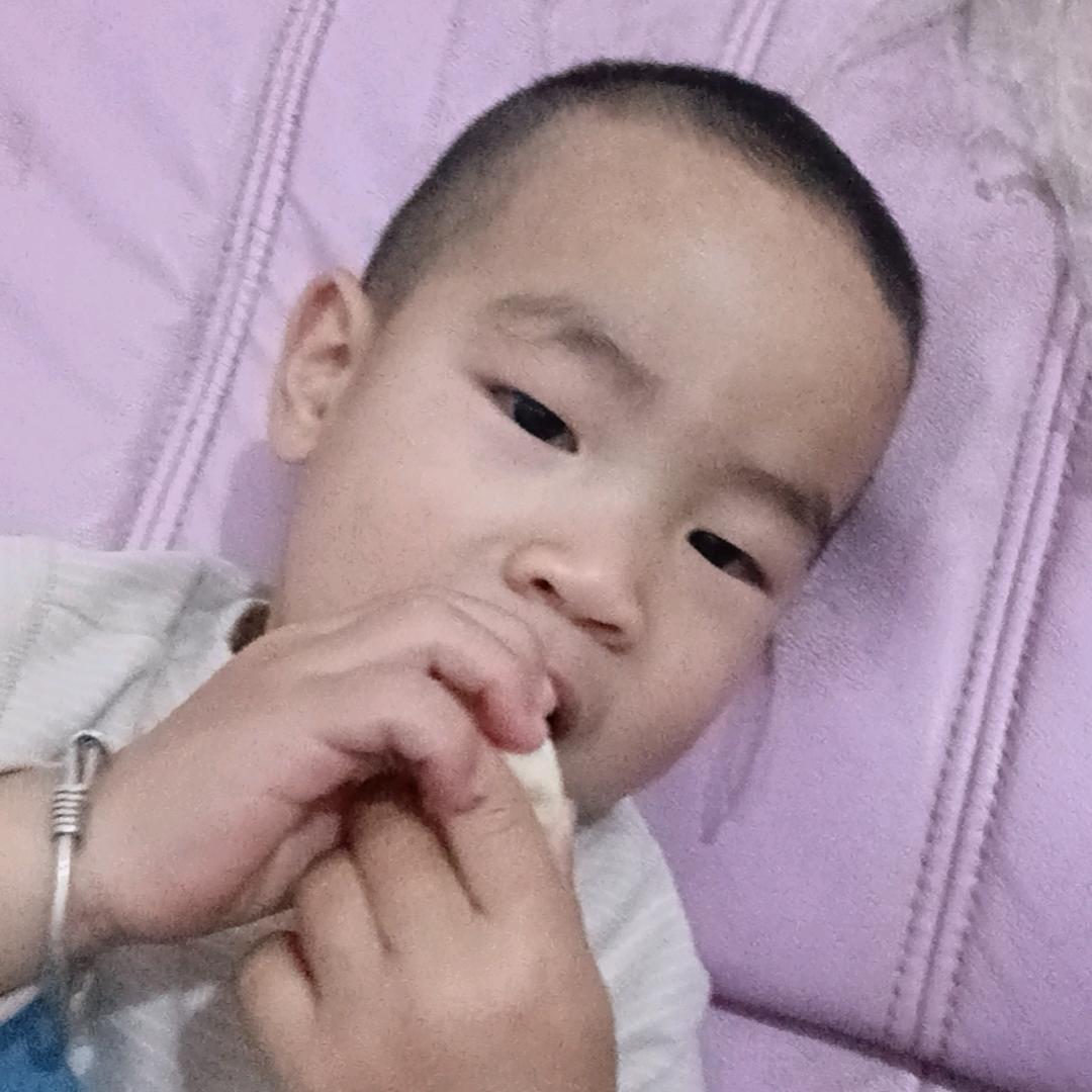 四季常乐