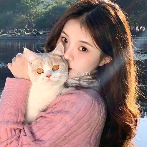 小野猫