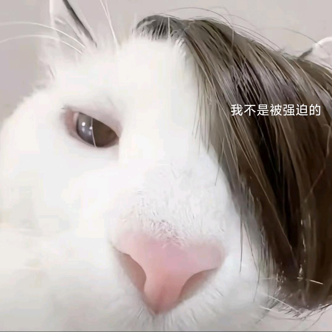 比奇堡名媛🍔