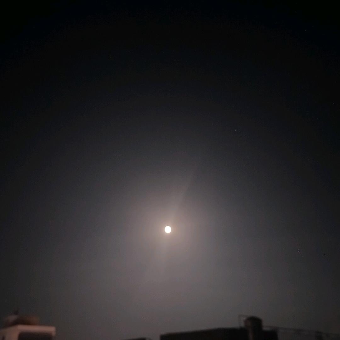 旺旺大犇犇