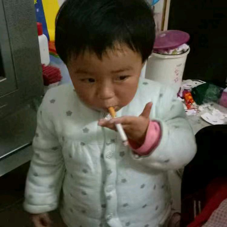 锦鲤养殖场老板成丰