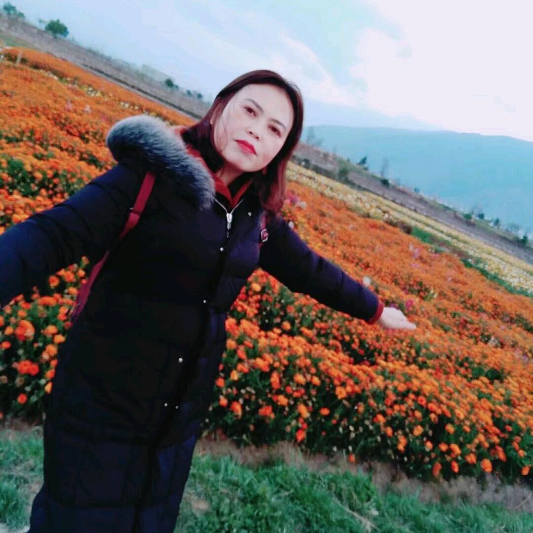 陈家姑娘