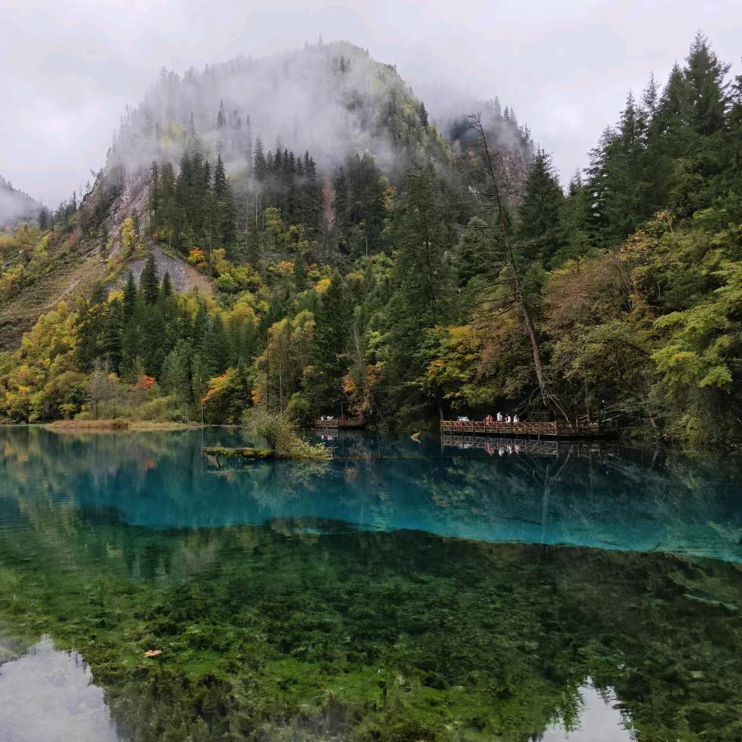 东哥玩乐（被封版）