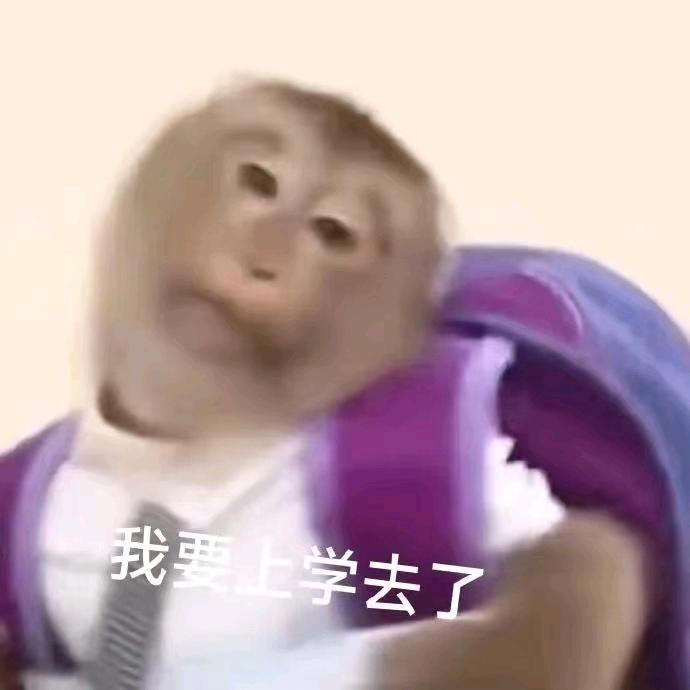 🐱