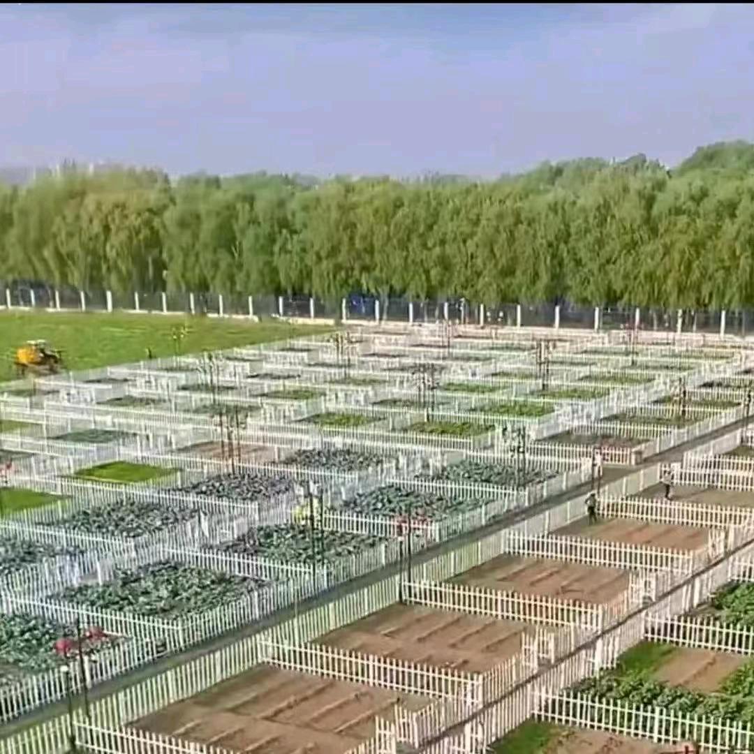 状元村游学农场