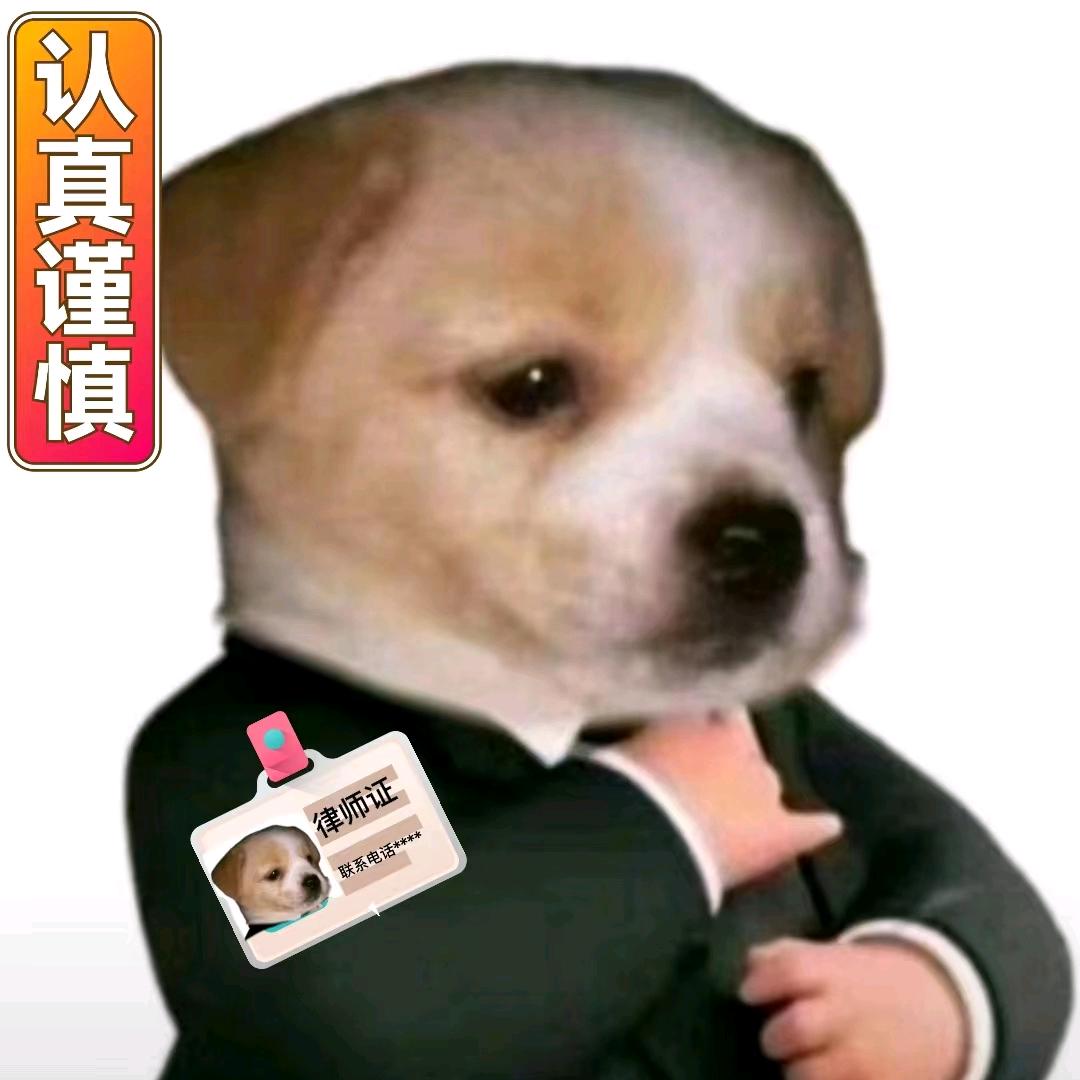 落地小柴