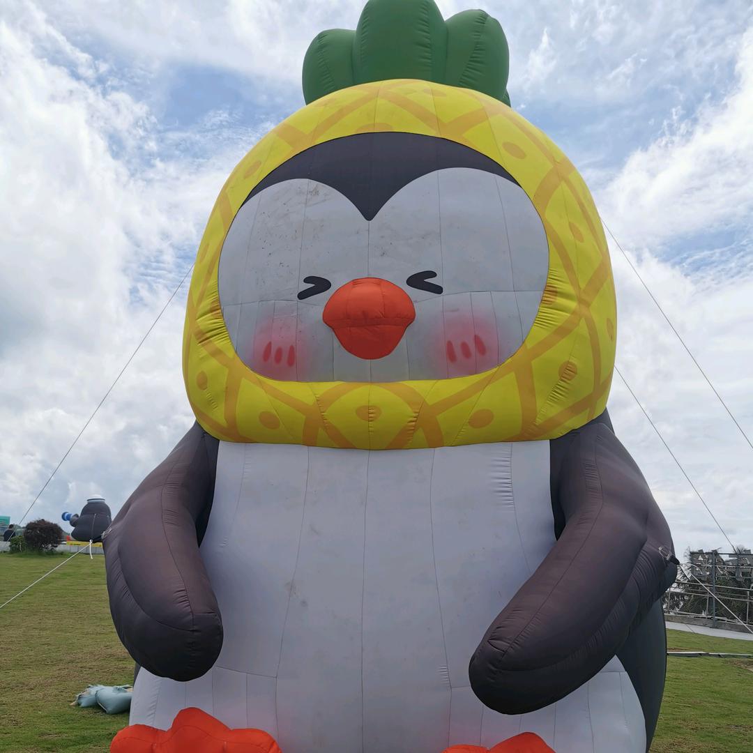 12041