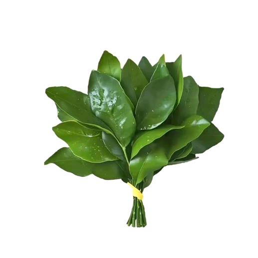 不知名