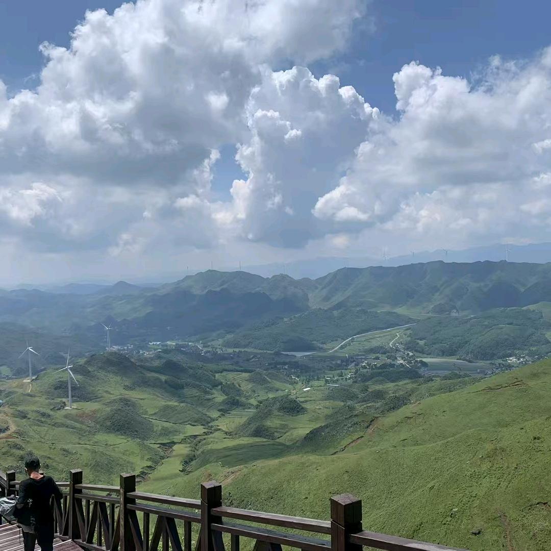 青青澄知