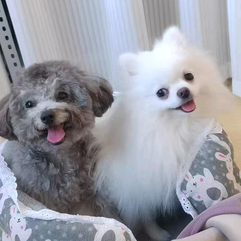 沐歆