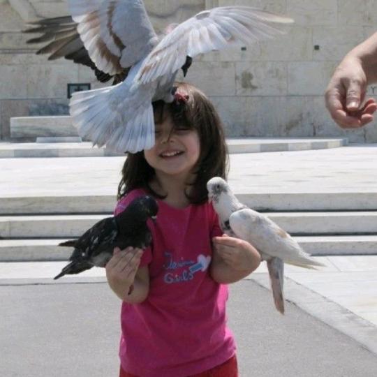 我叫姚哈哈ᥫᩣᵕ̈