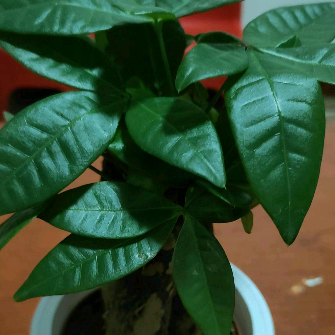 明天更美好