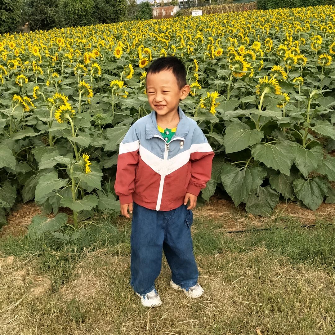 娄