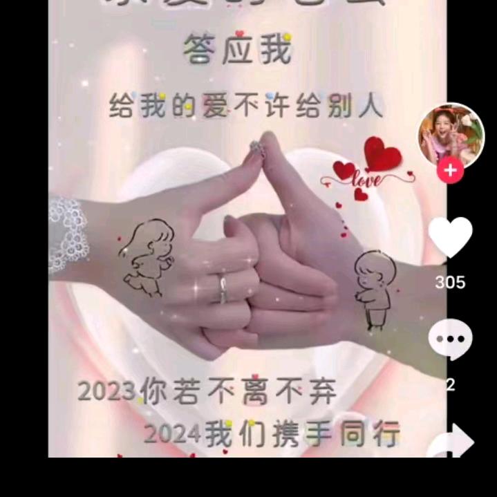 我是一只孤独的鸟