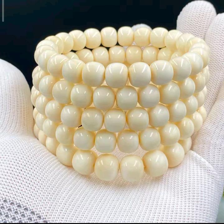 牙骨角高级鉴定