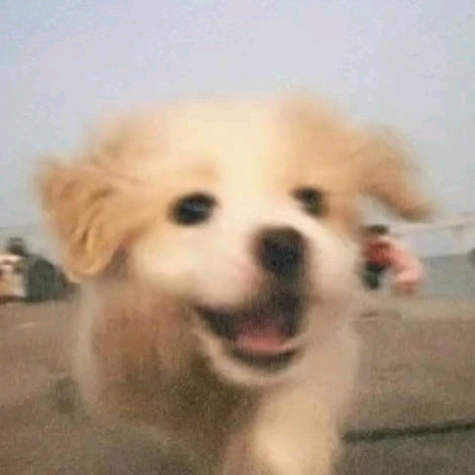 ♥是小娄呀♥