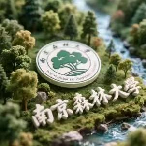南京林业大学波波学长