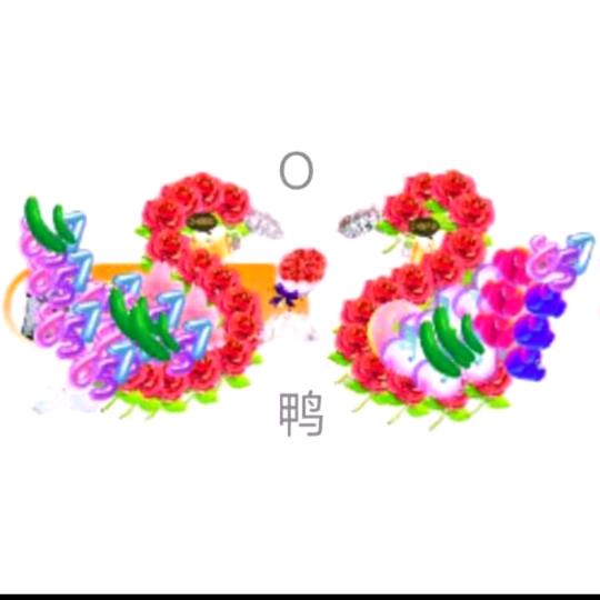 O鸭