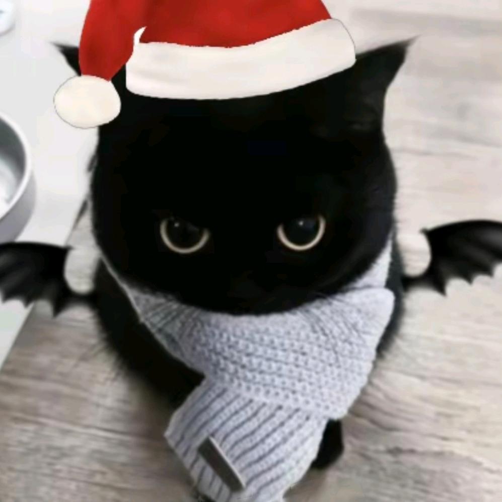 ૮₍˶•.•⑅₎ა