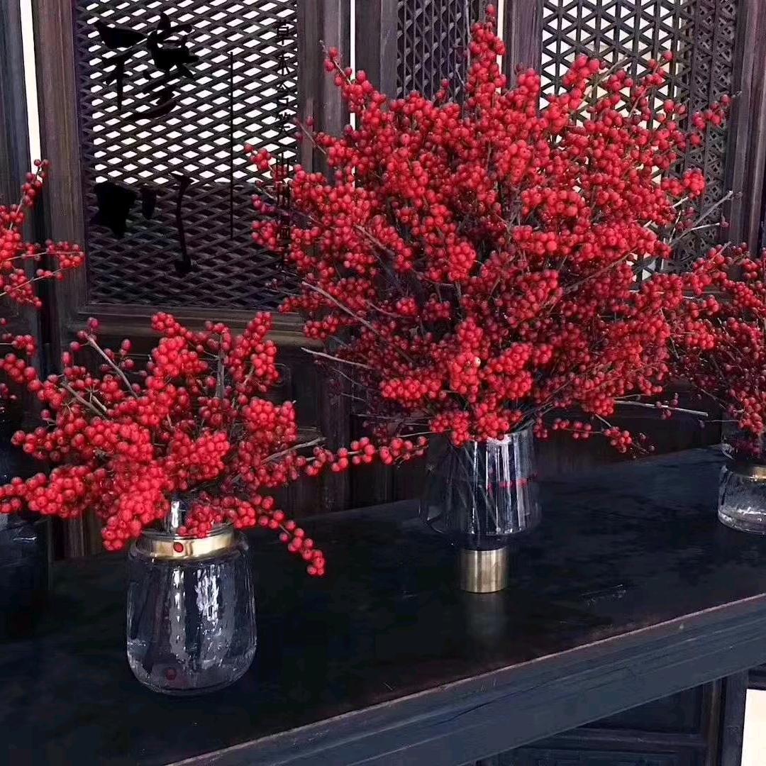 巴黎岛