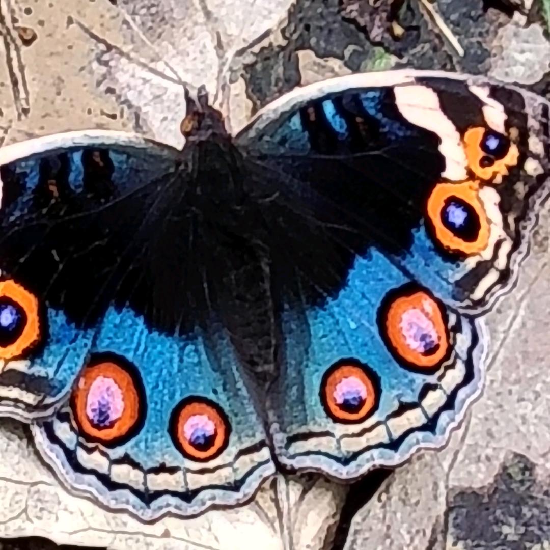 相遇 ꧁꫞꯭)是缘