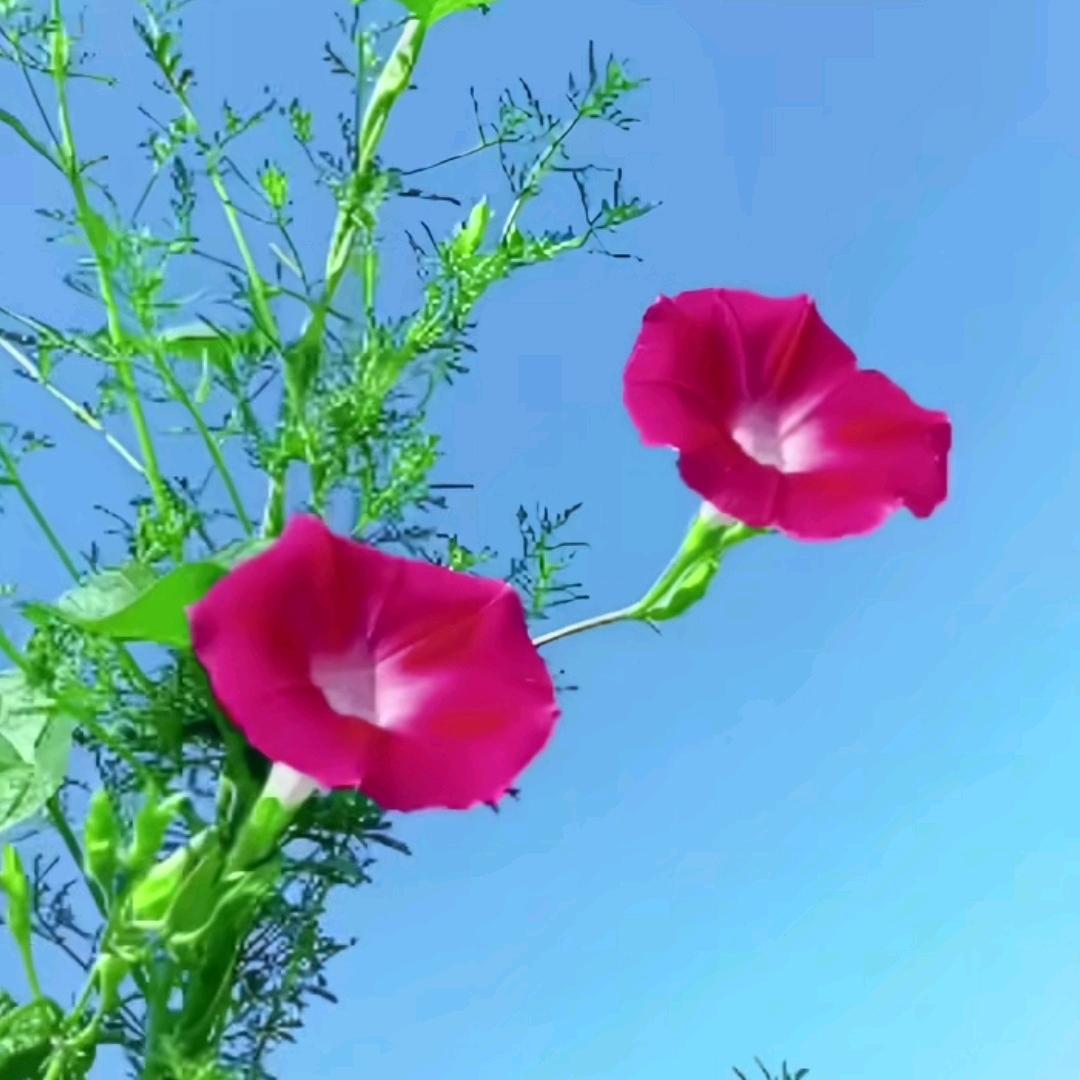 @有缘人